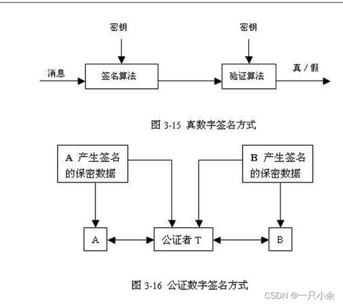 計(jì)算機(jī)網(wǎng)絡(luò)安全 技術(shù)開發(fā)與應(yīng)用期末綜述